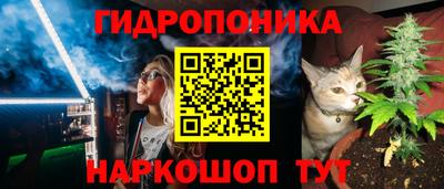 амф Лесосибирск