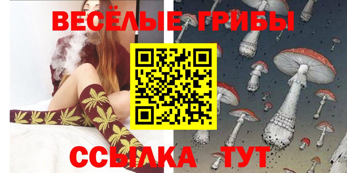 Псилоцибиновые грибы Magic Shrooms  Вход с VPN  Гулькевичи  Псилоцибиновые грибы Psilocybine cubensis 