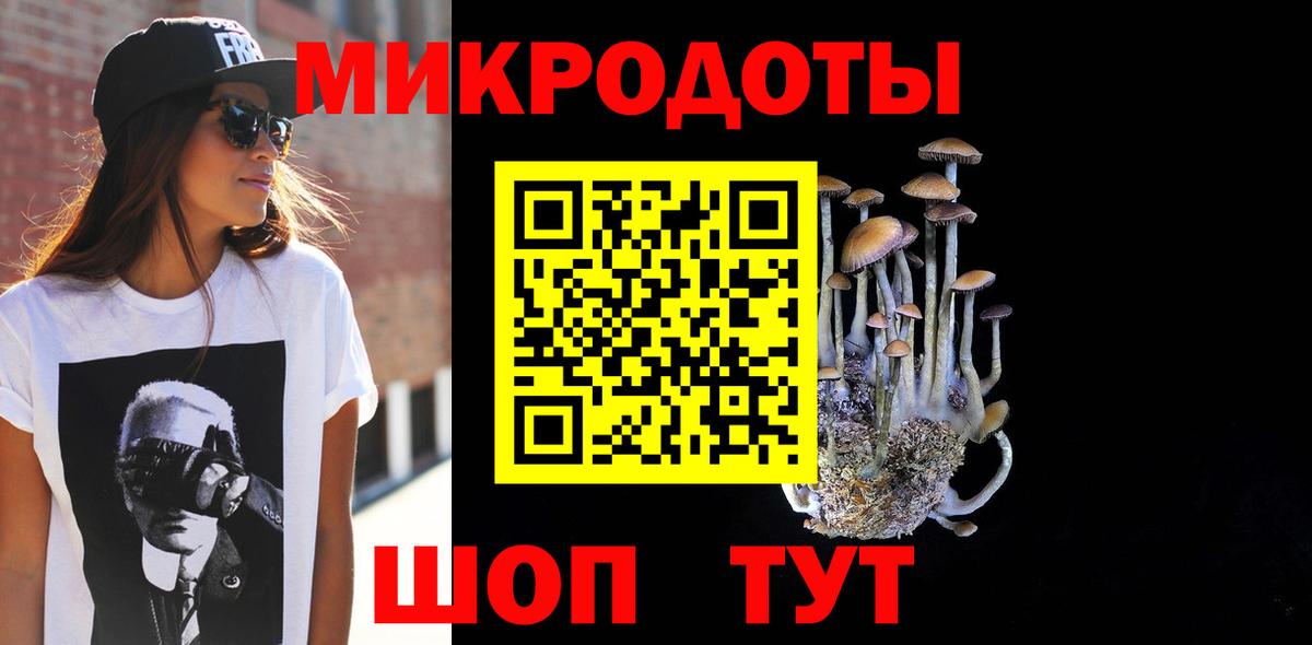 Галлюциногенные грибы Psilocybine cubensis Гулькевичи